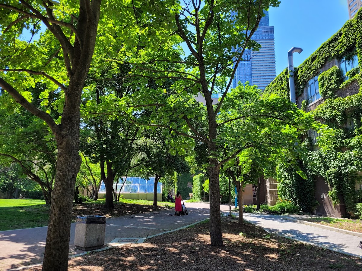 Ryerson University photo 4