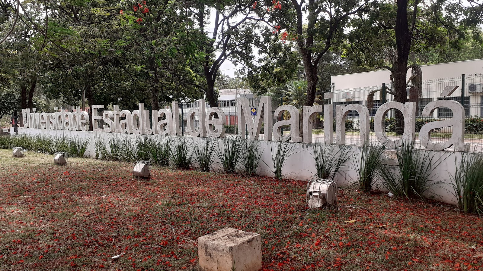 State University of Maringá