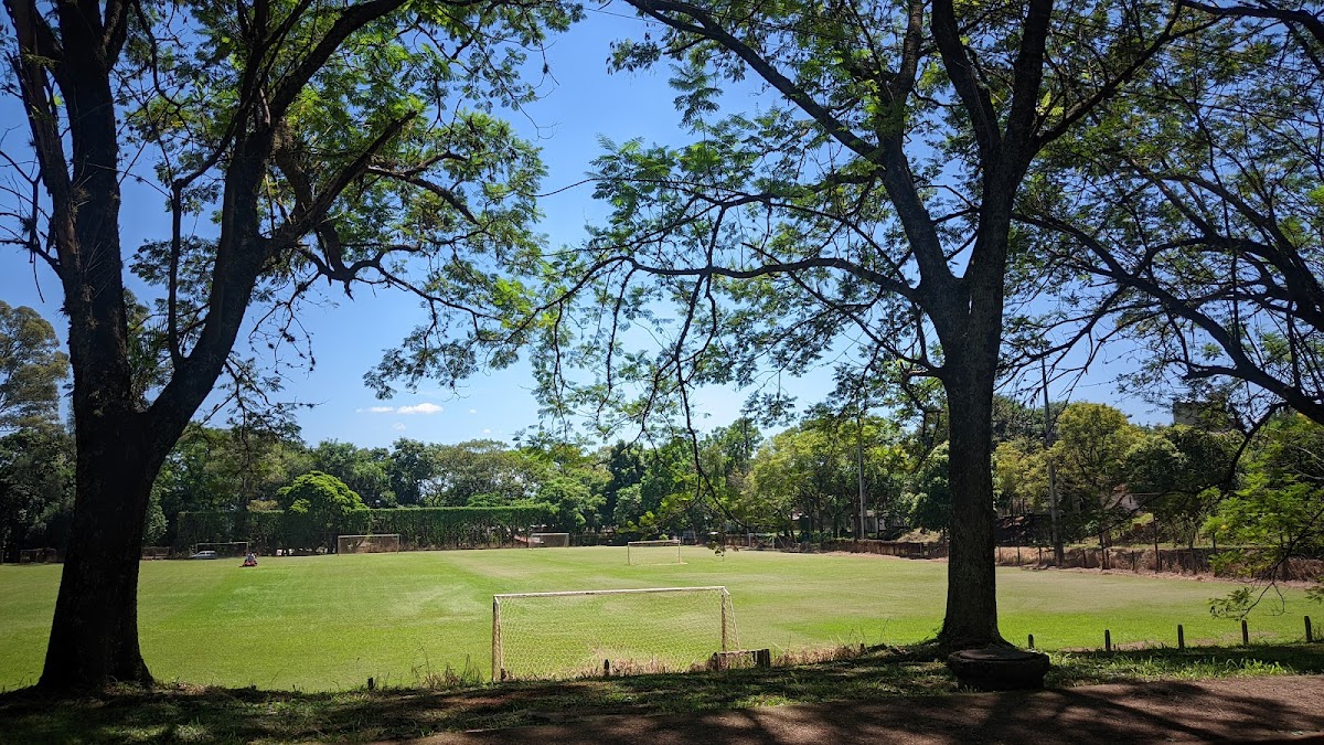 State University of Maringá photo 1