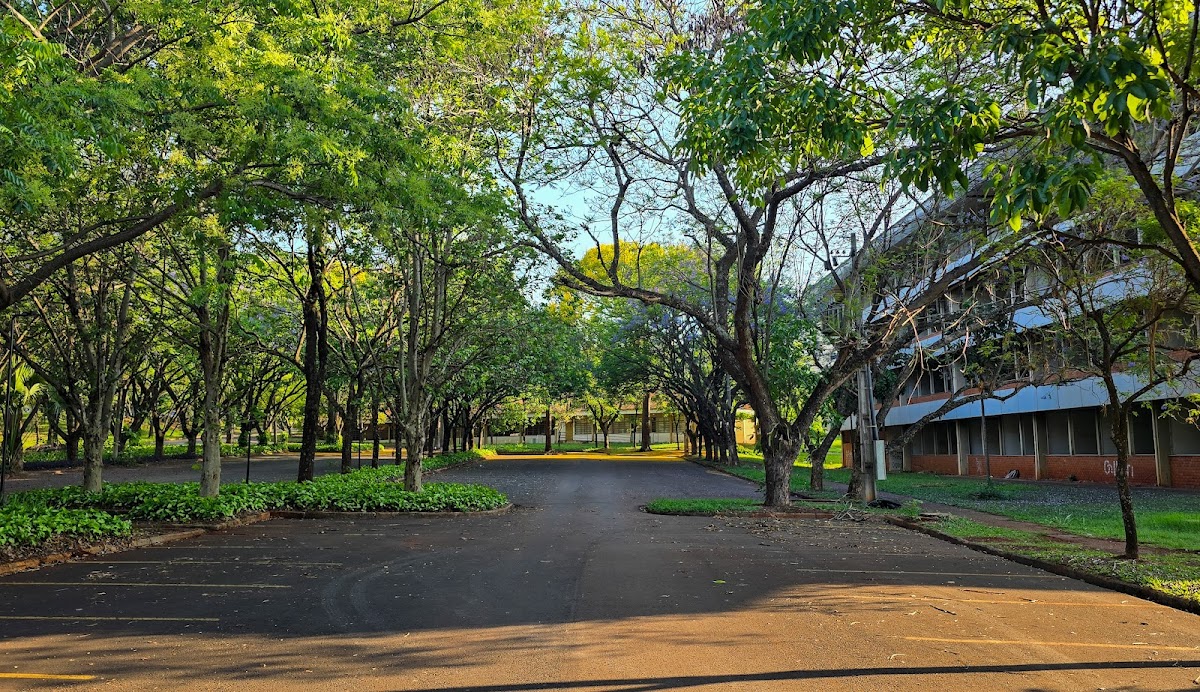 State University of Maringá photo 3