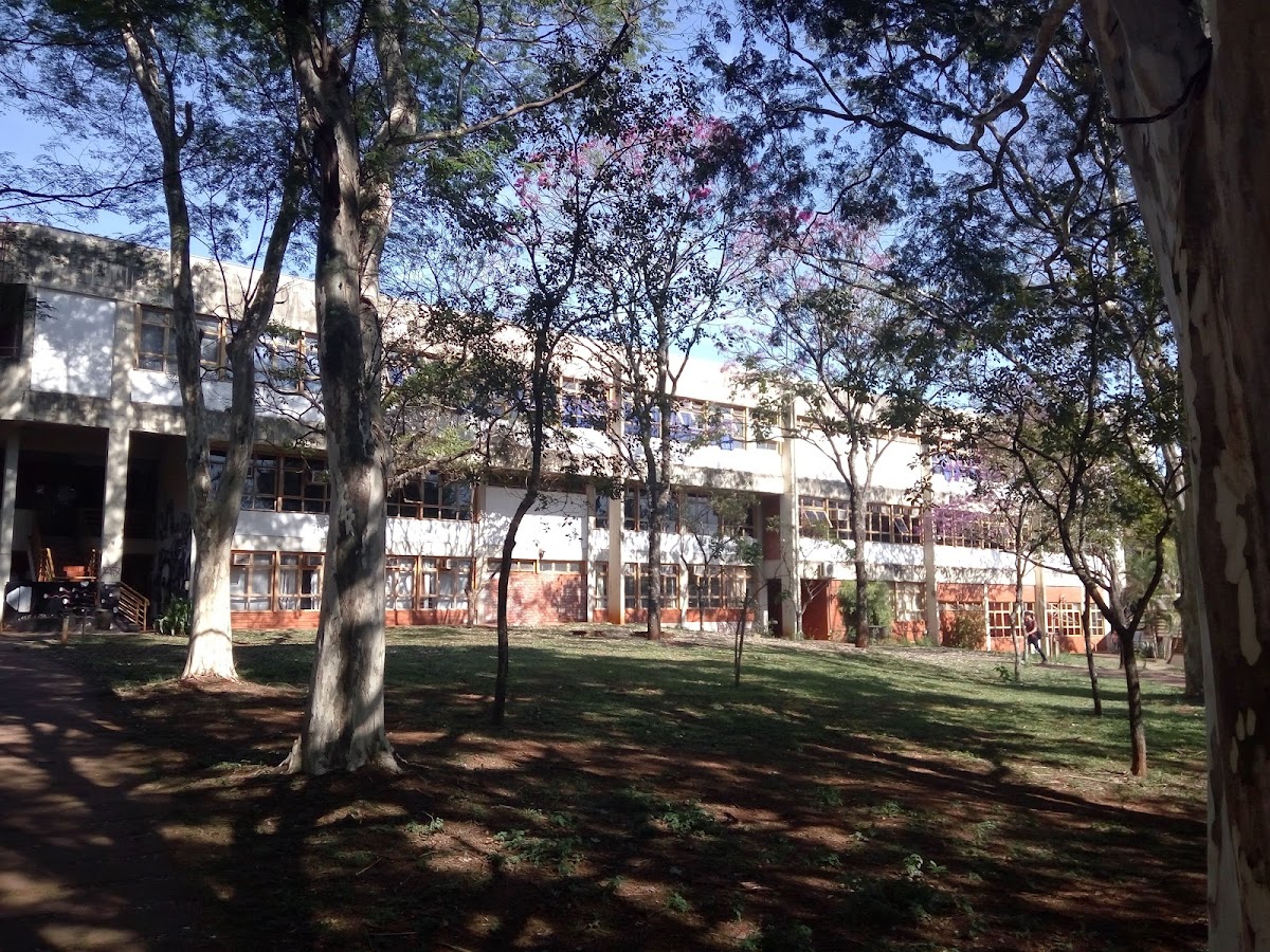 State University of Maringá photo 5