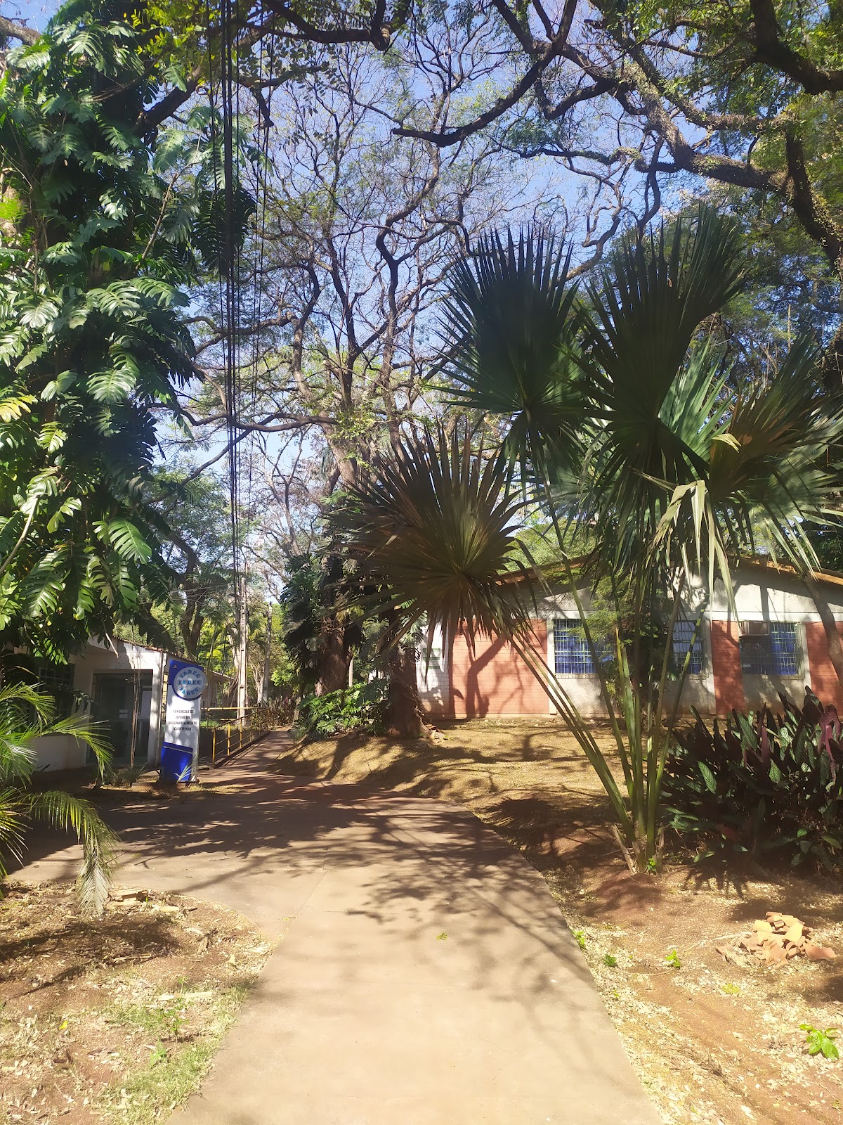 State University of Maringá photo 9