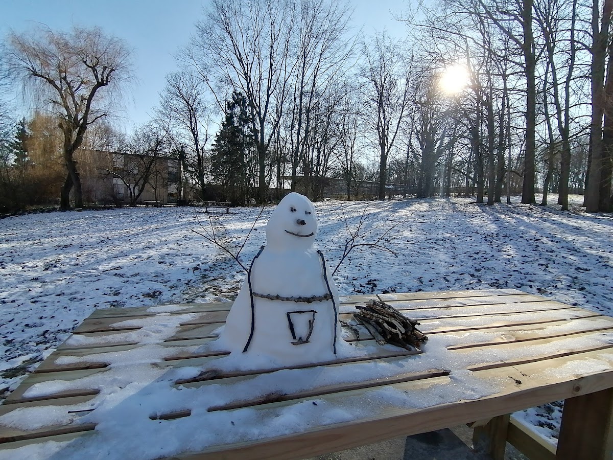 University of Valenciennes and Hainaut-Cambrésis photo 4