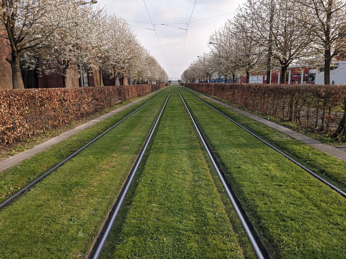 University of Valenciennes and Hainaut-Cambrésis photo 8