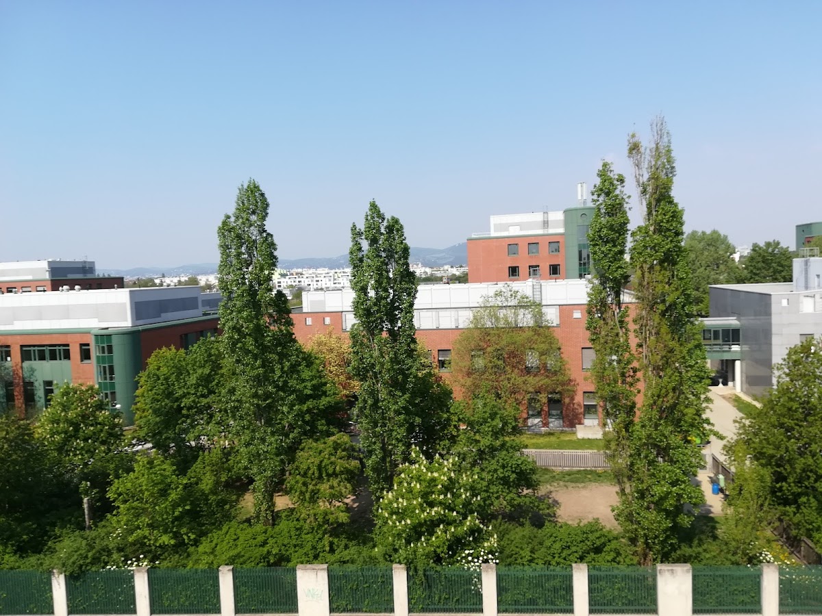 University of Veterinary Medicine Vienna photo 5