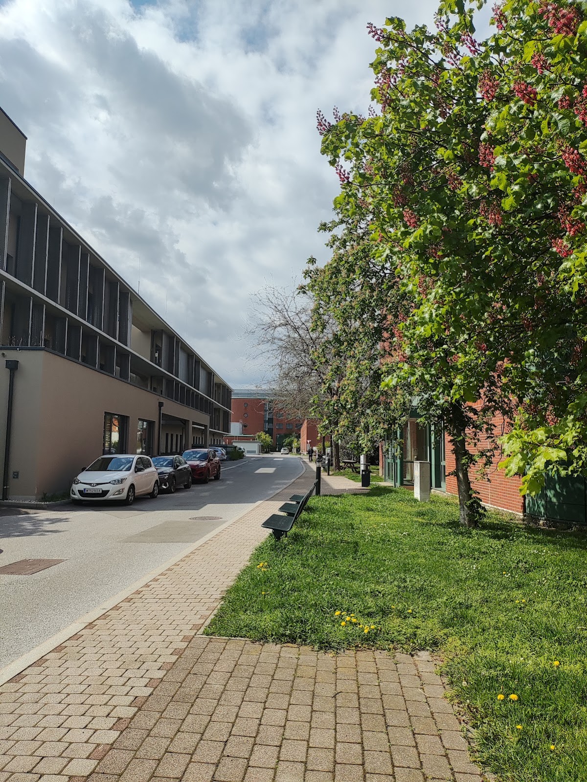 University of Veterinary Medicine Vienna photo 7