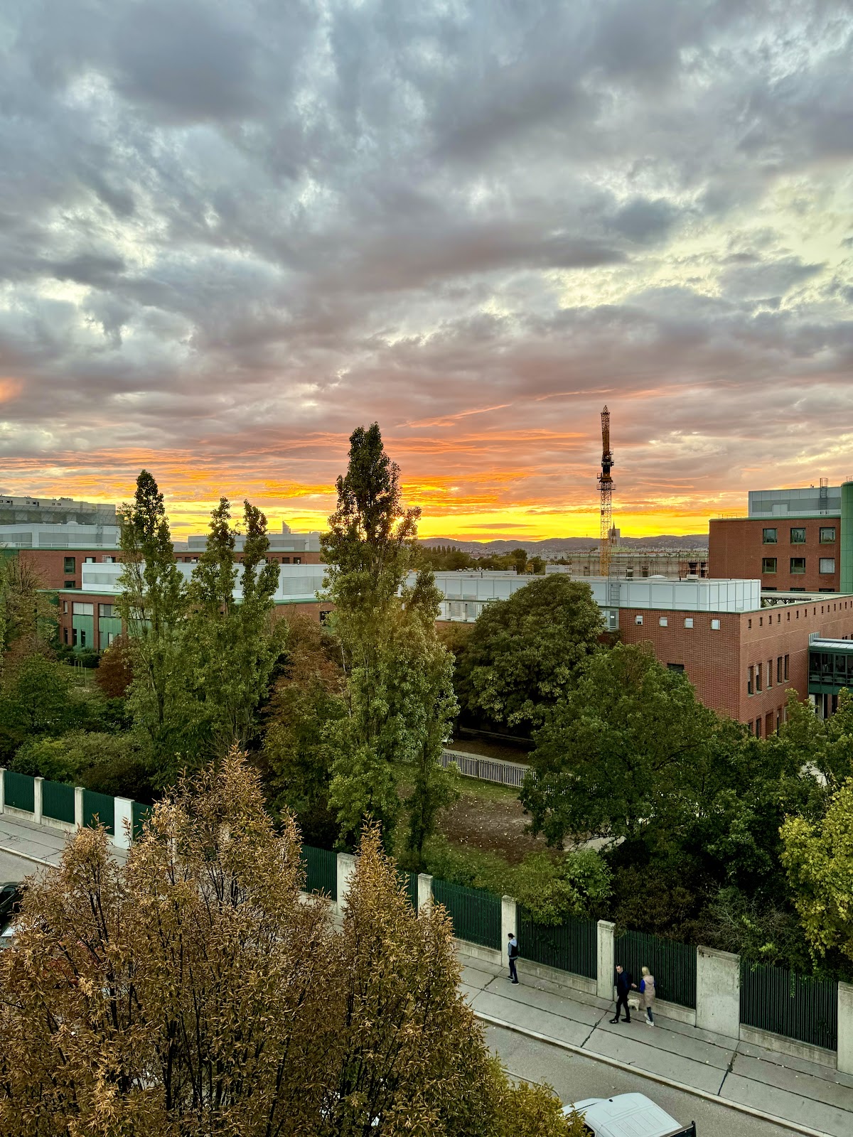 University of Veterinary Medicine Vienna photo 8
