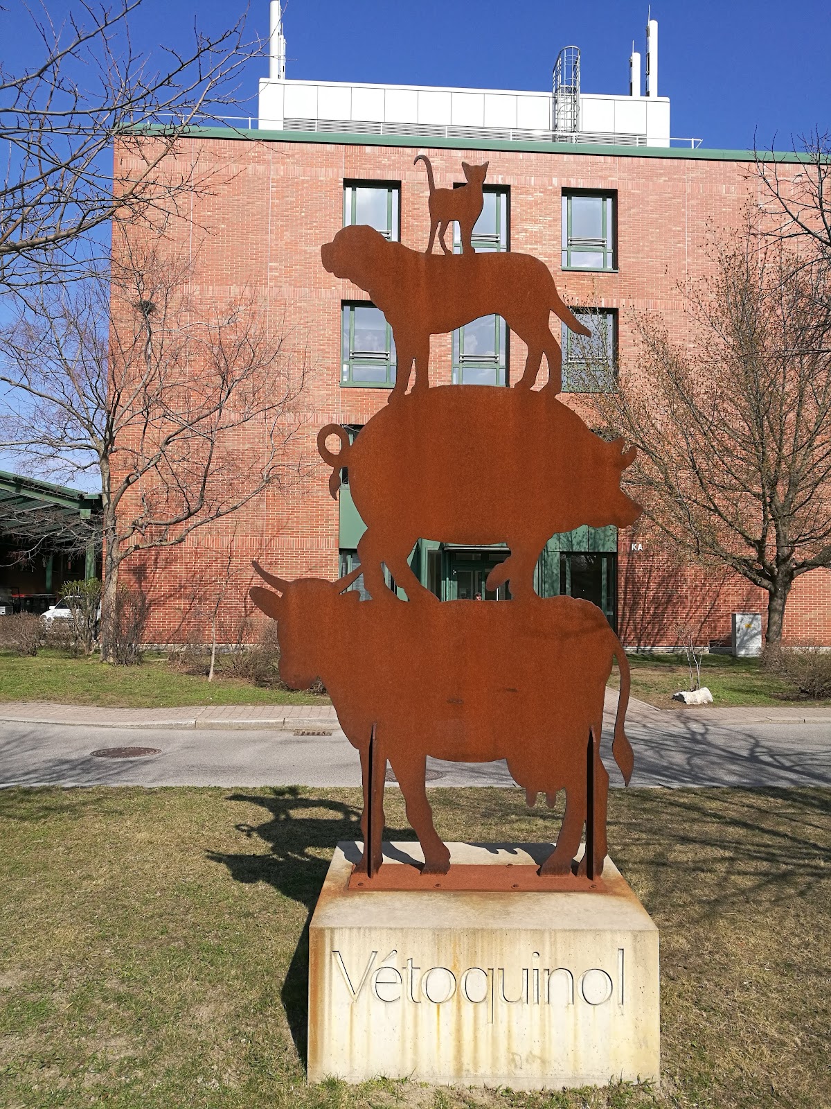 University of Veterinary Medicine Vienna photo 9