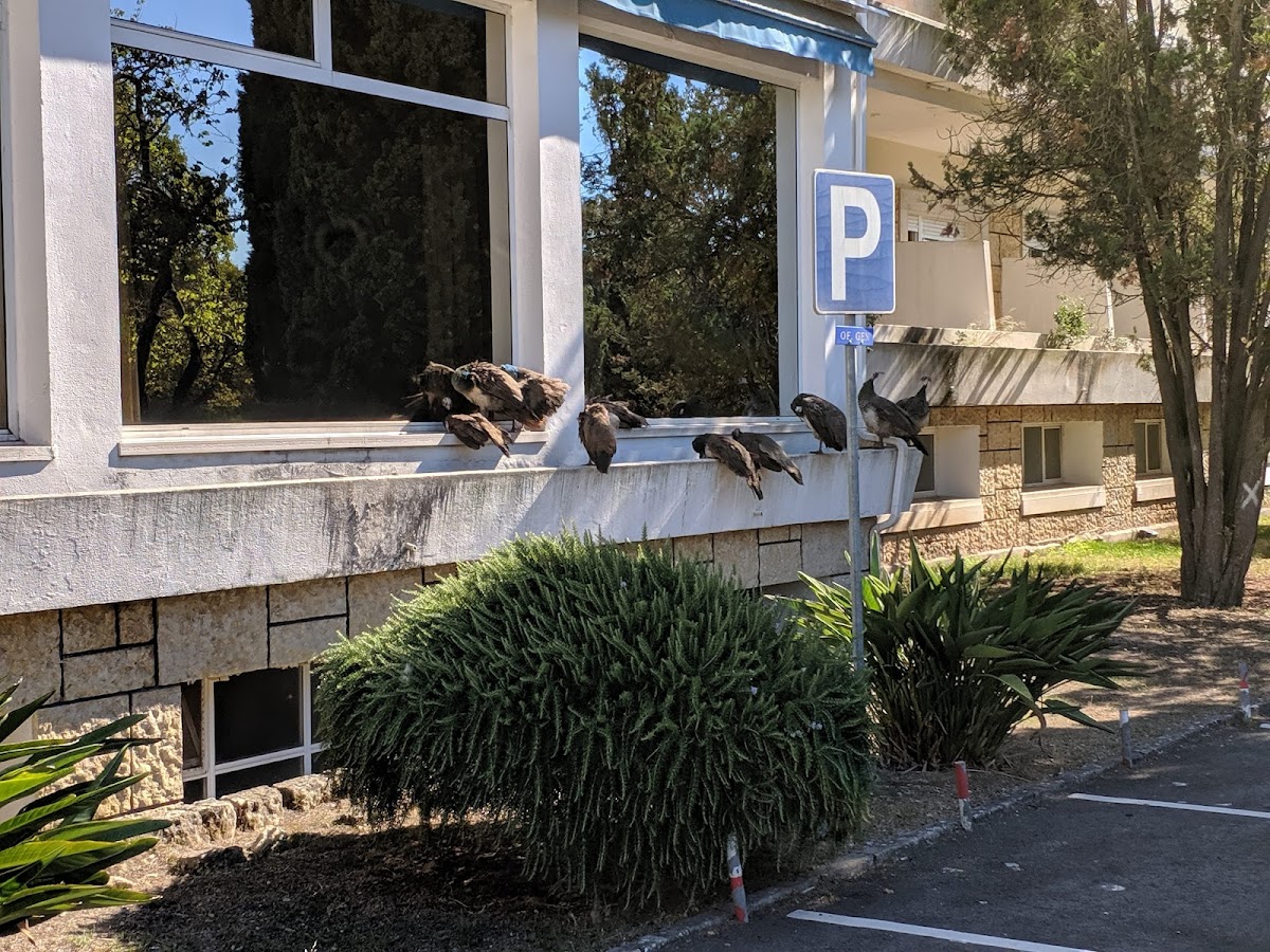 Instituto Universitário Militar photo 9