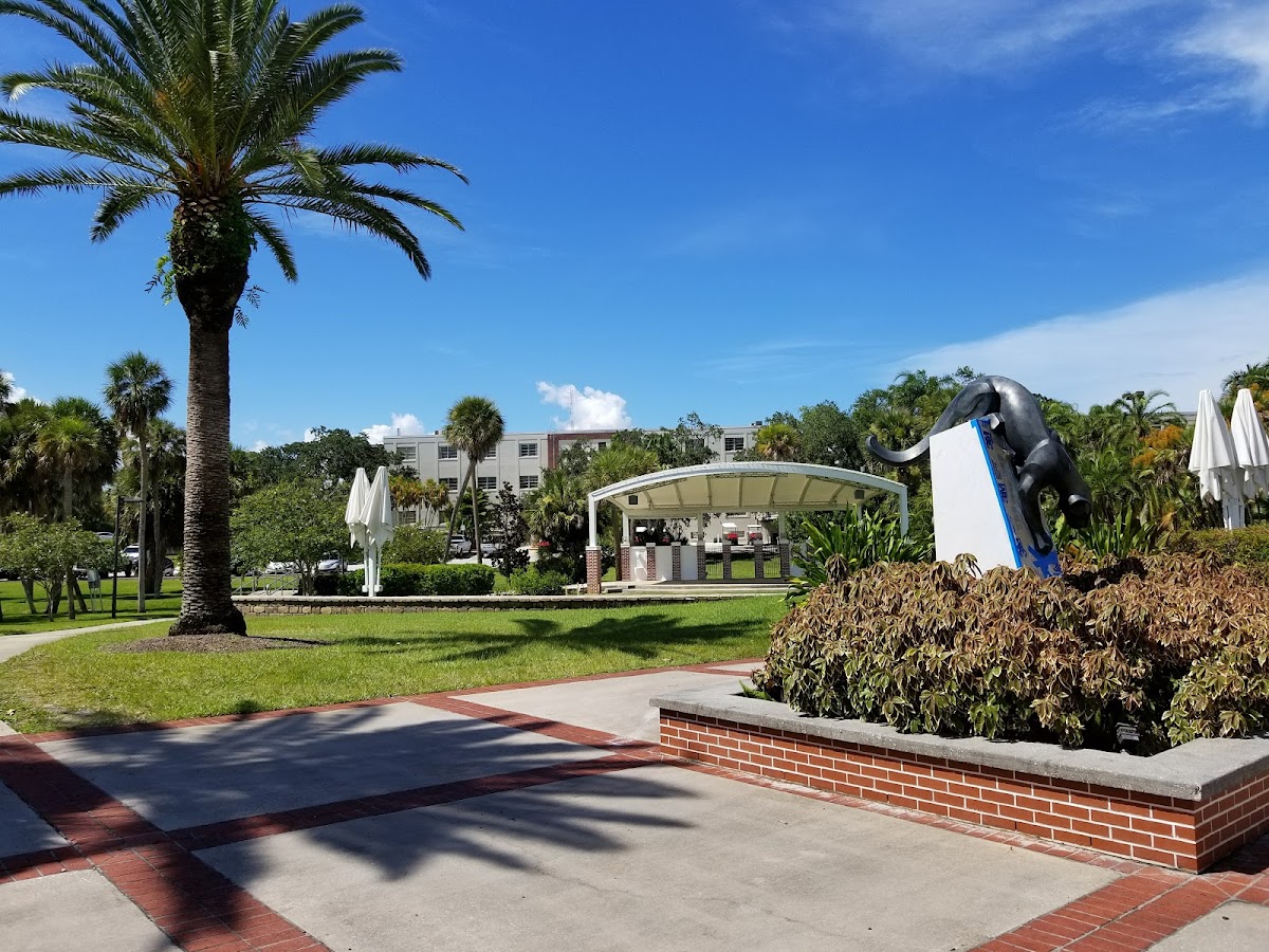 Florida Tech photo 5