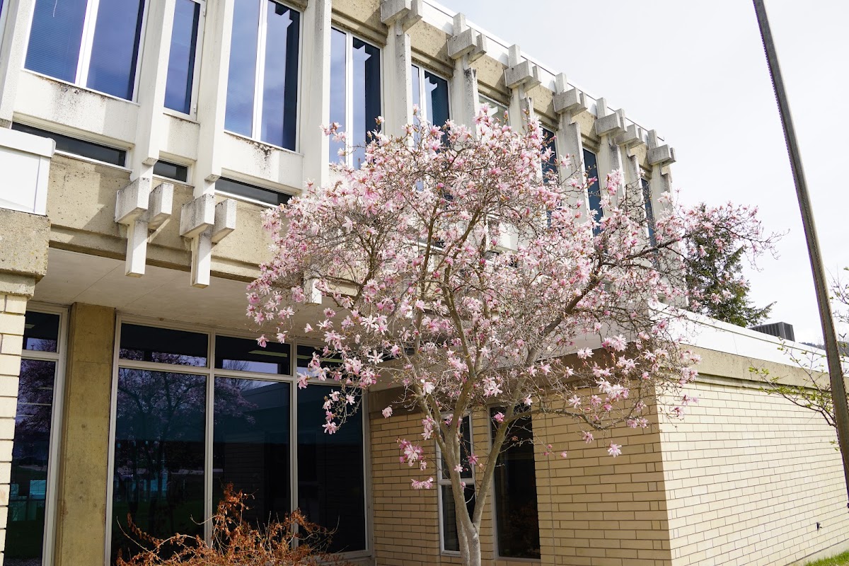 Selkirk College photo 3