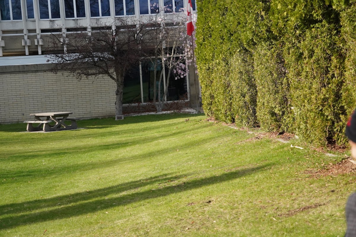 Selkirk College photo 5