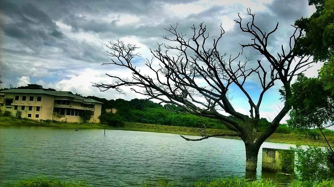 Shivaji University photo 1