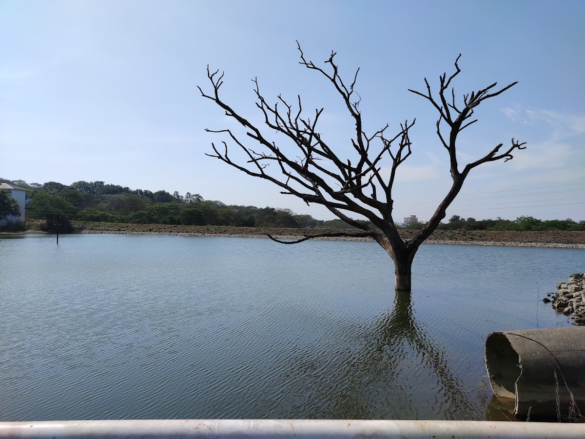 Shivaji University photo 5
