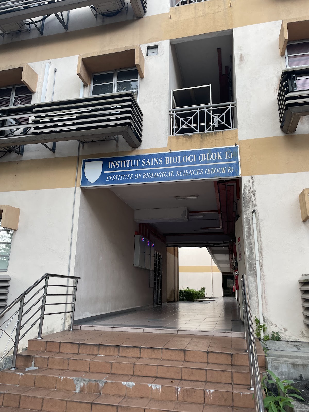 University of Malaya photo 8