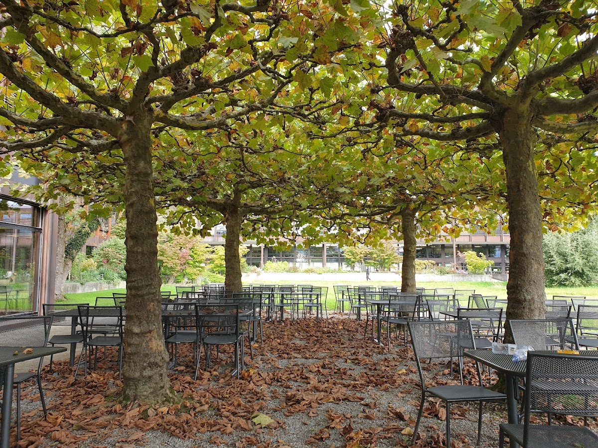 University of Applied Sciences Rapperswil photo 4