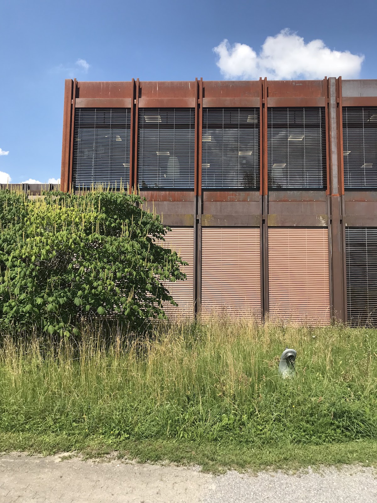 University of Applied Sciences Rapperswil photo 8