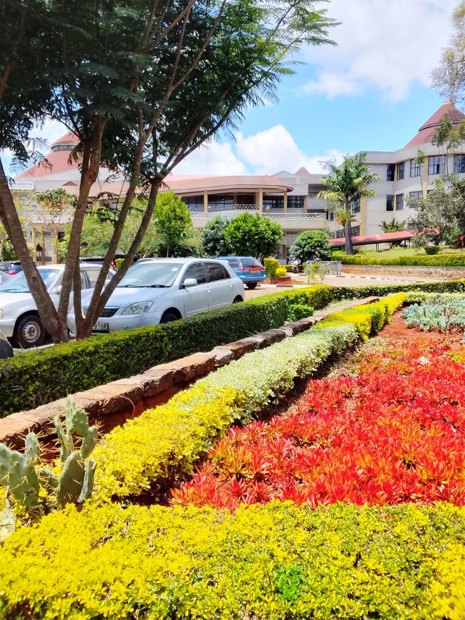 Dedan Kimathi University of Technology photo 9