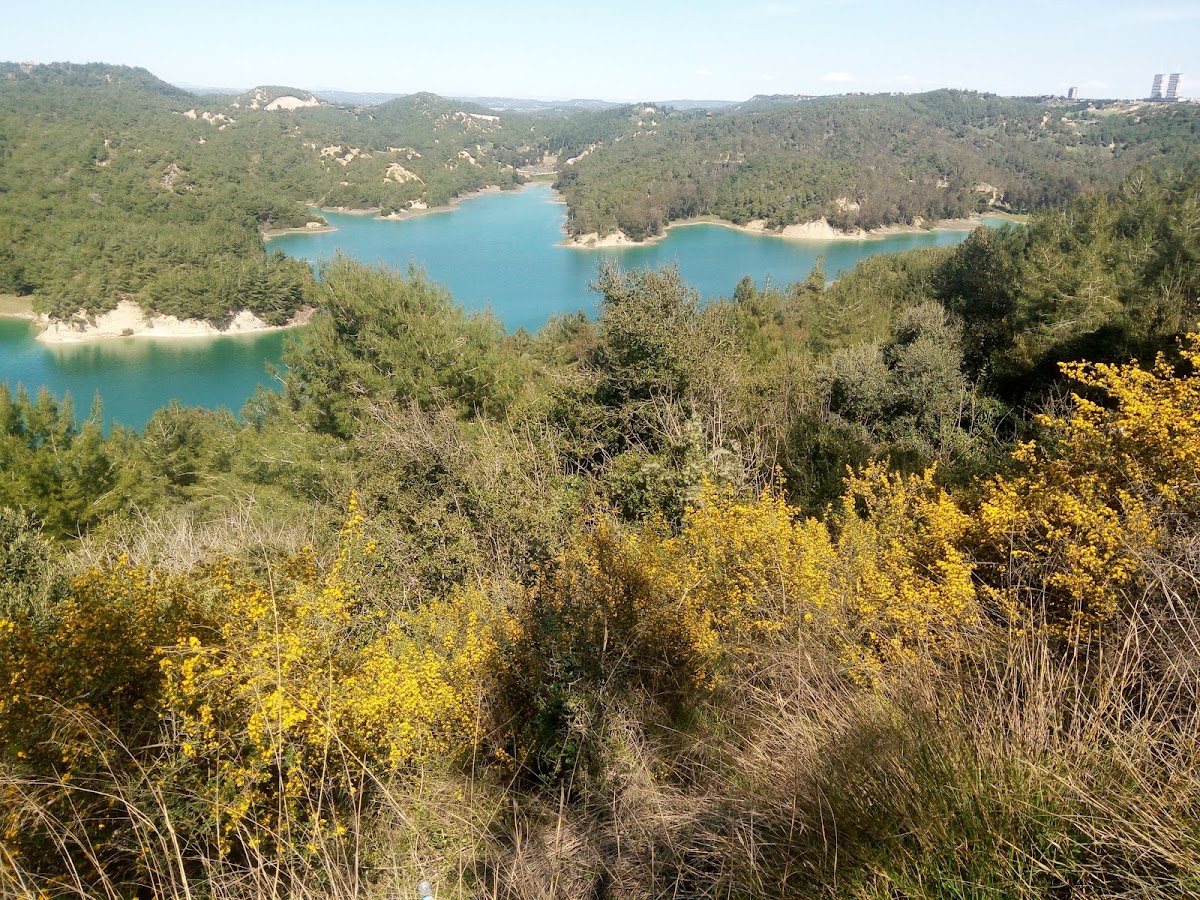 Çukurova University photo 7