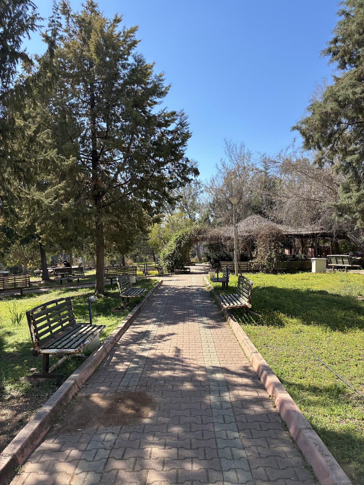 Çukurova University photo 9