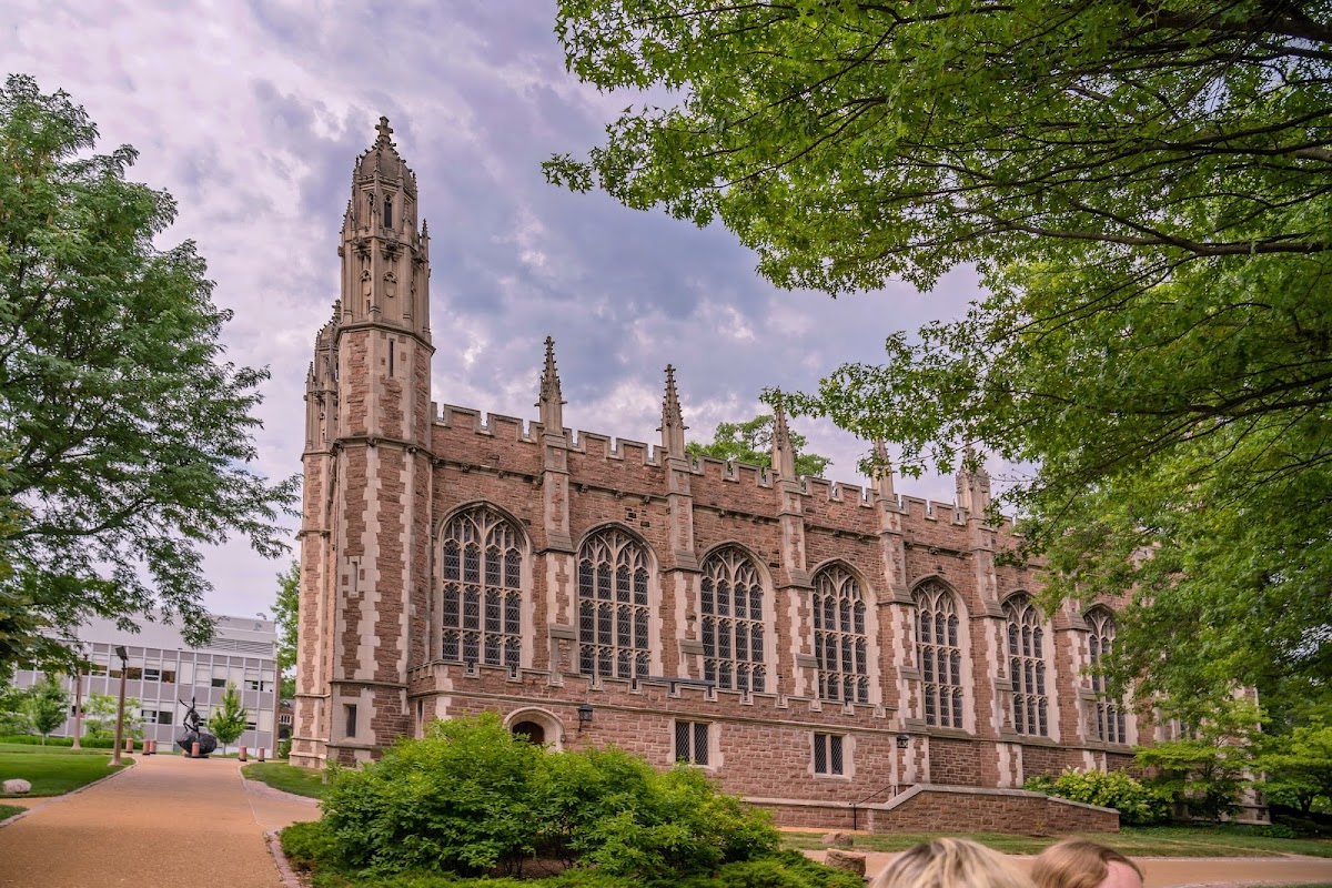 Washington University St Louis photo 1