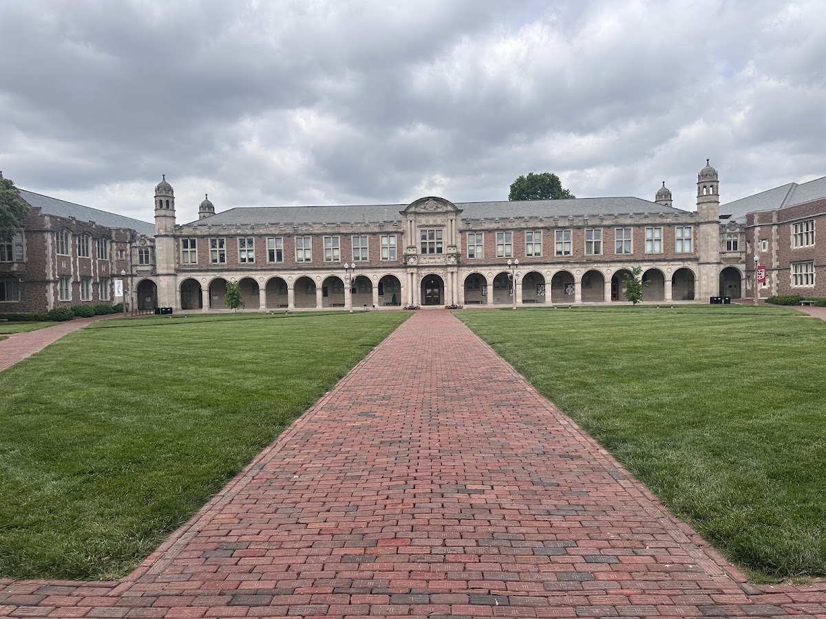 Washington University St Louis photo 5