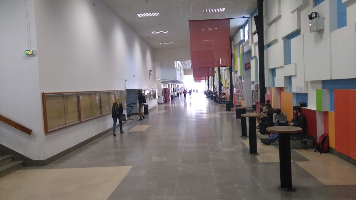 University of Lyon photo 2