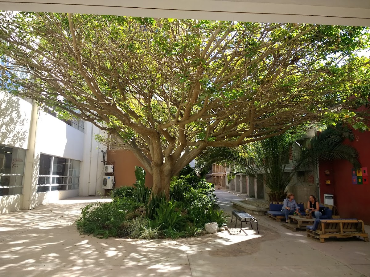 Universidad Iberoamericana Tijuana photo 8