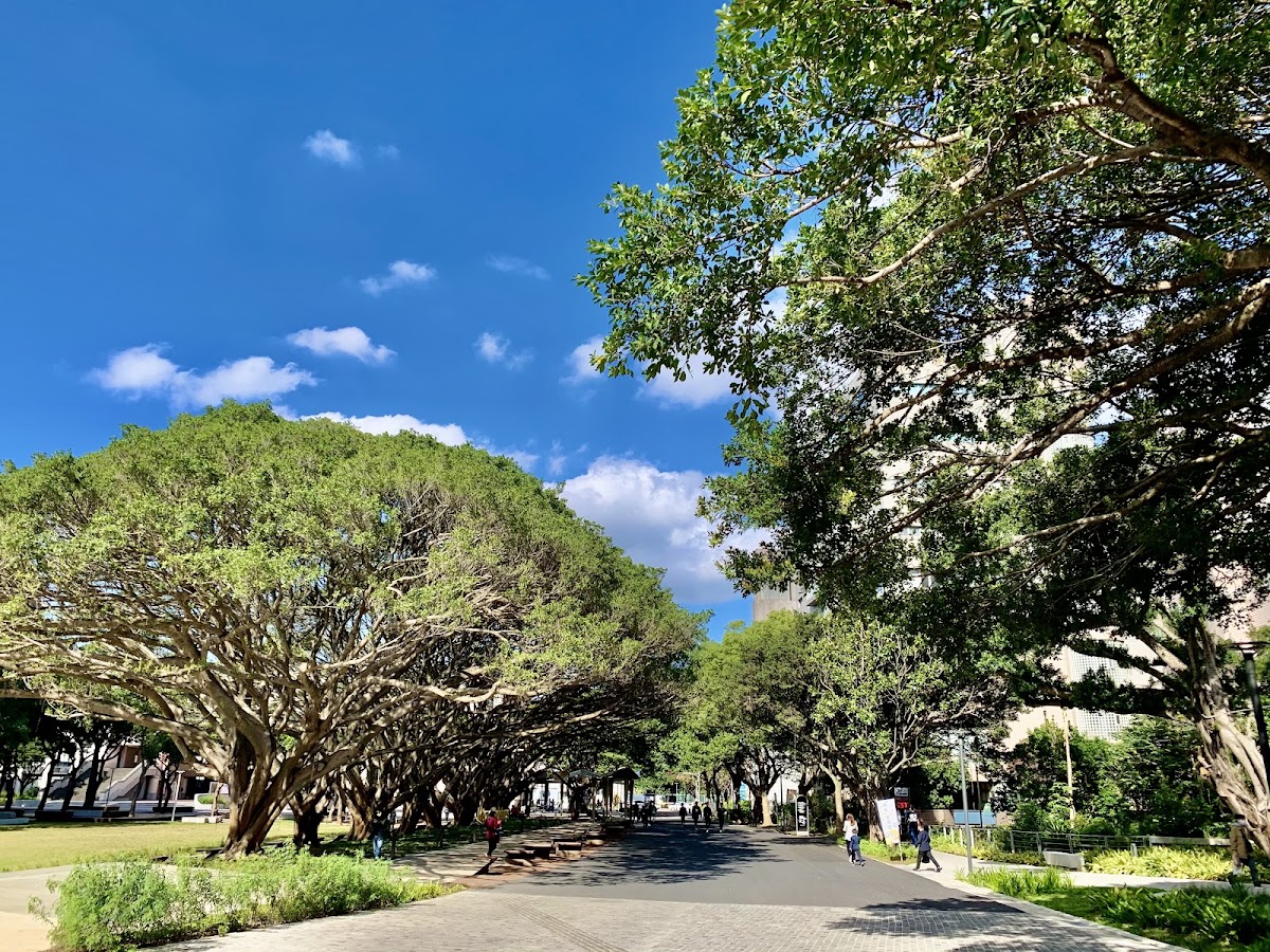 Chung Yuan Christian University photo 1