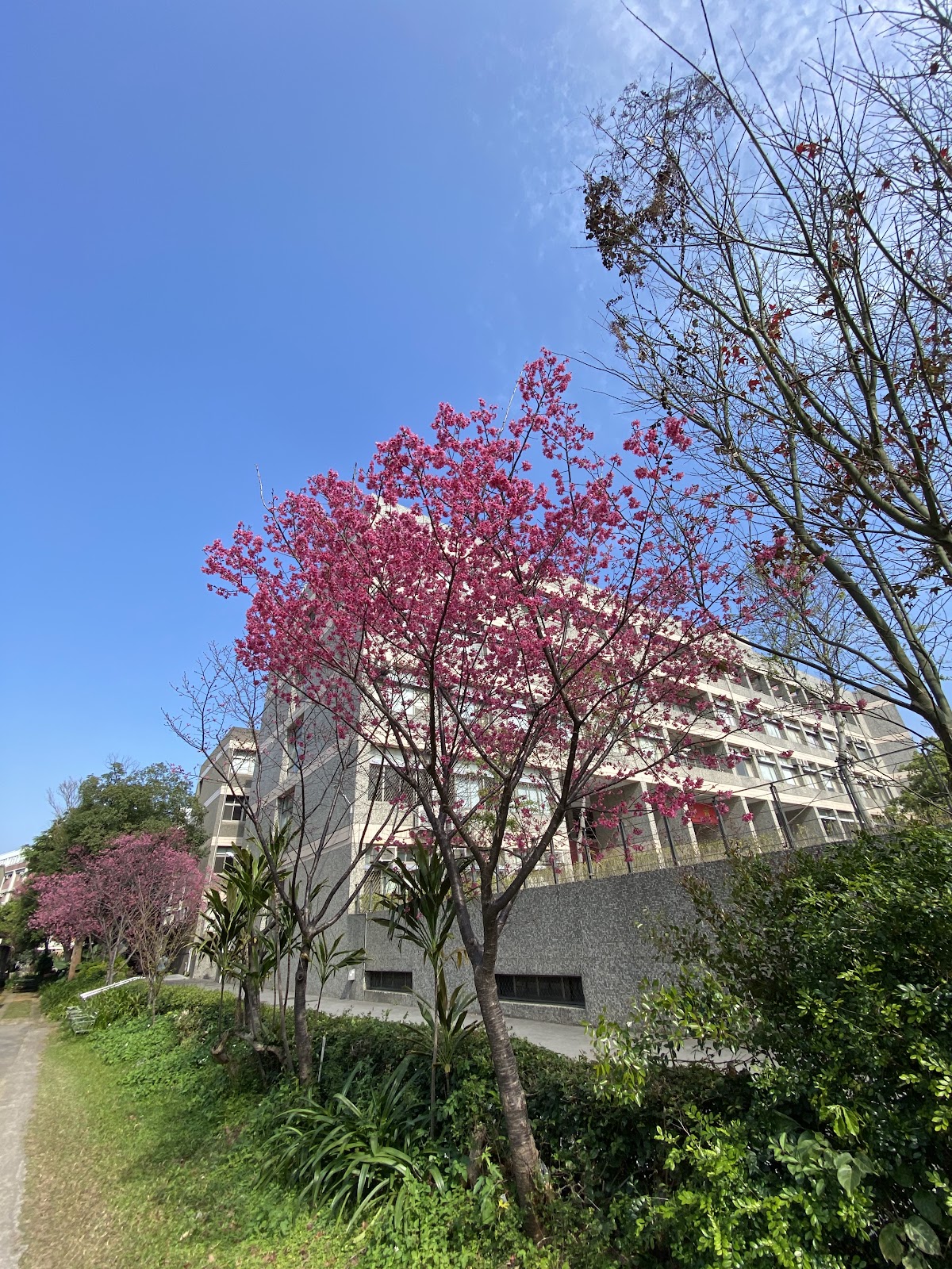 Chung Yuan Christian University photo 9