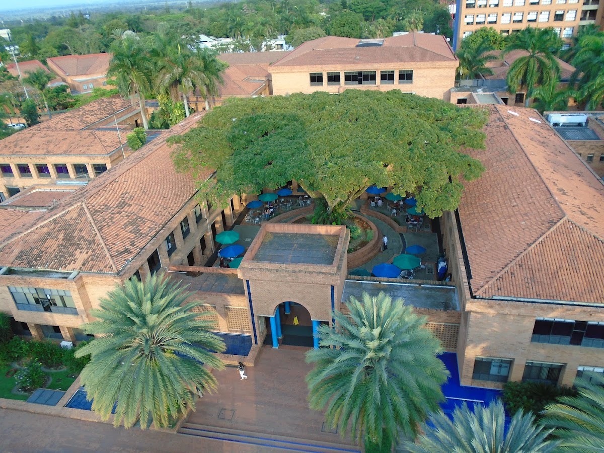 Universidad ICESI photo 4