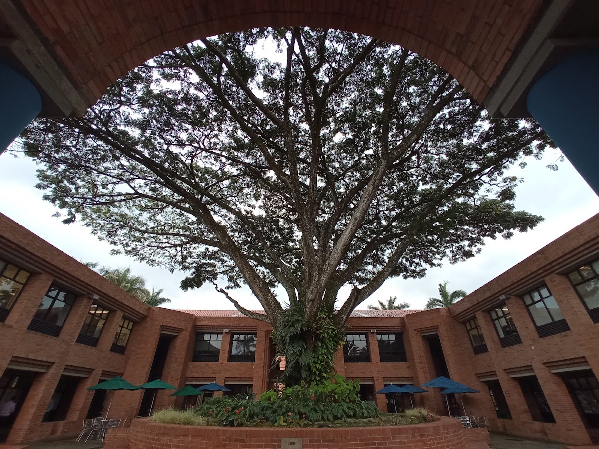Universidad ICESI photo 5
