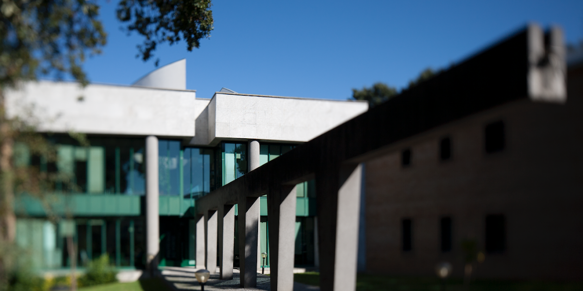 Polytechnic Institute of Porto photo 1