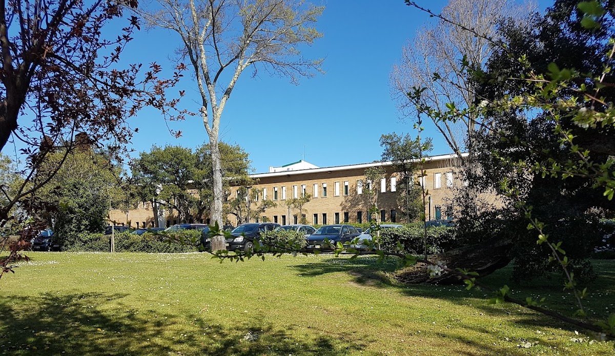 Polytechnic Institute of Porto photo 3