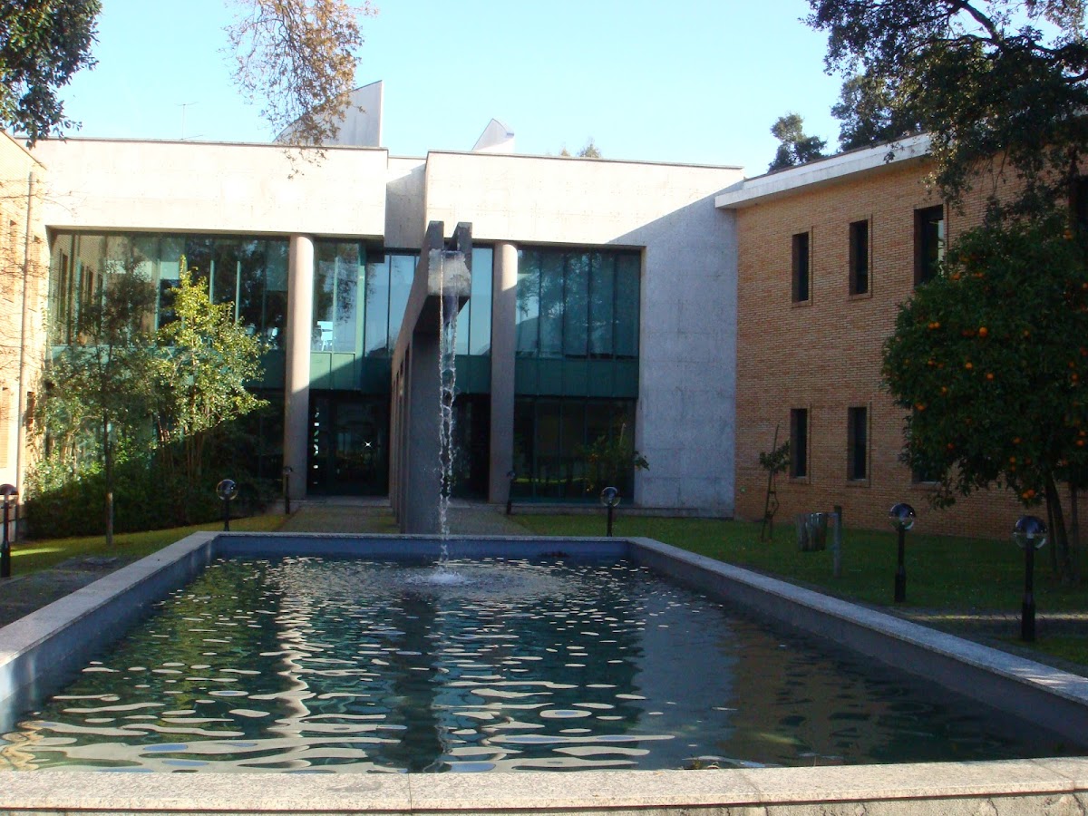 Polytechnic Institute of Porto photo 5