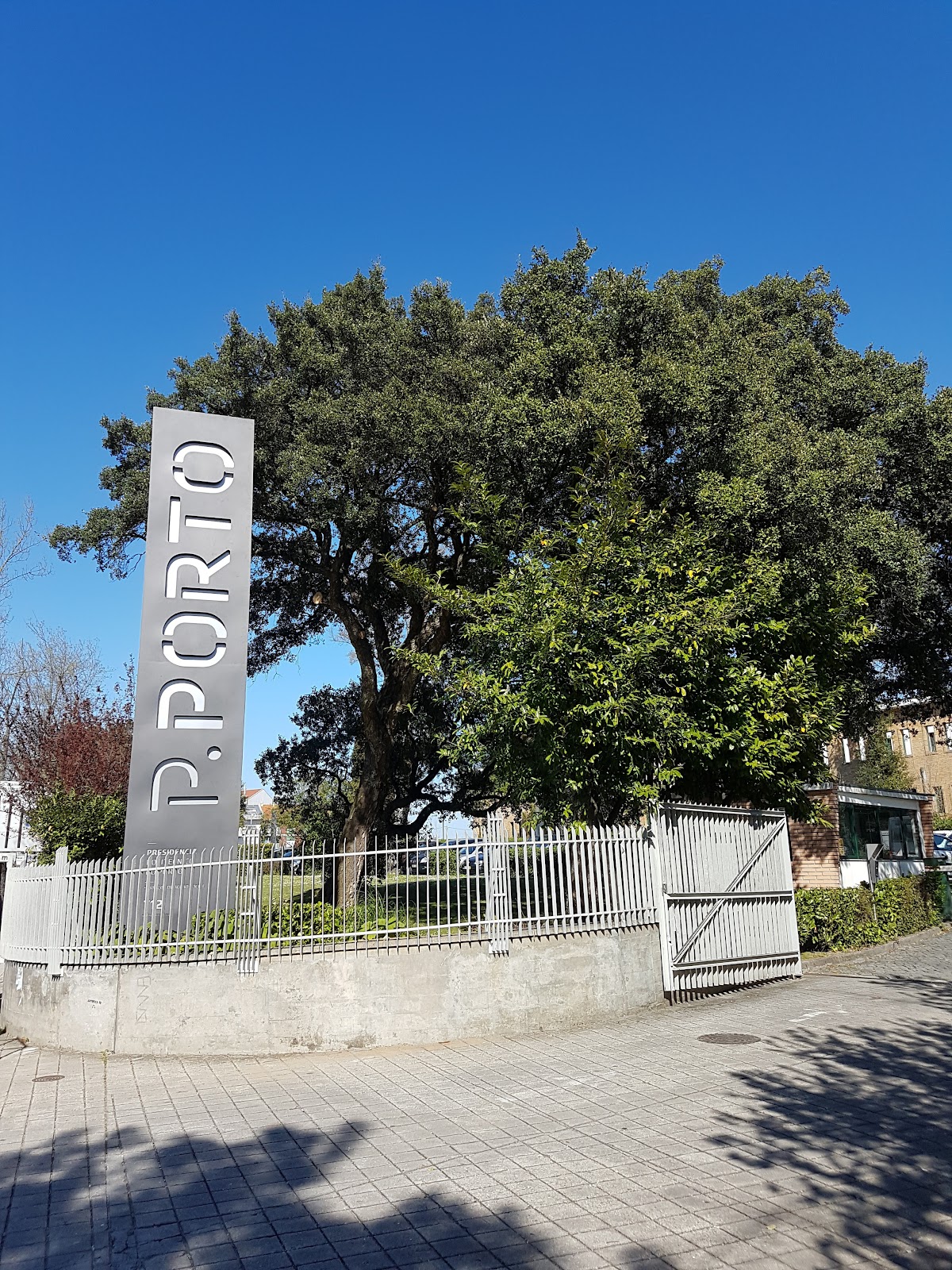 Polytechnic Institute of Porto photo 8