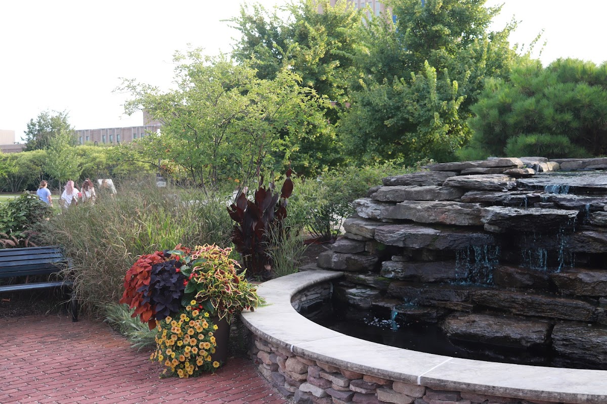 Kent State University photo 3