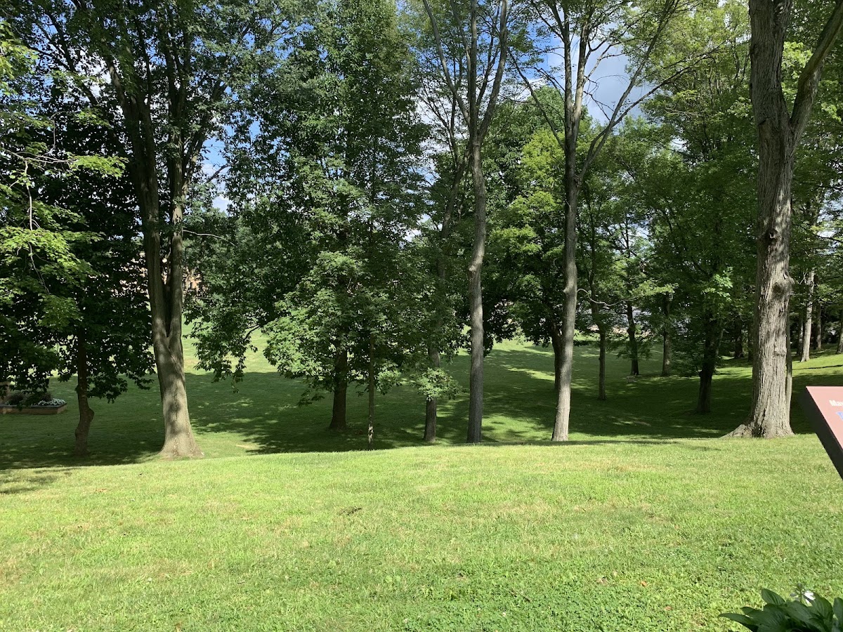 Kent State University photo 5