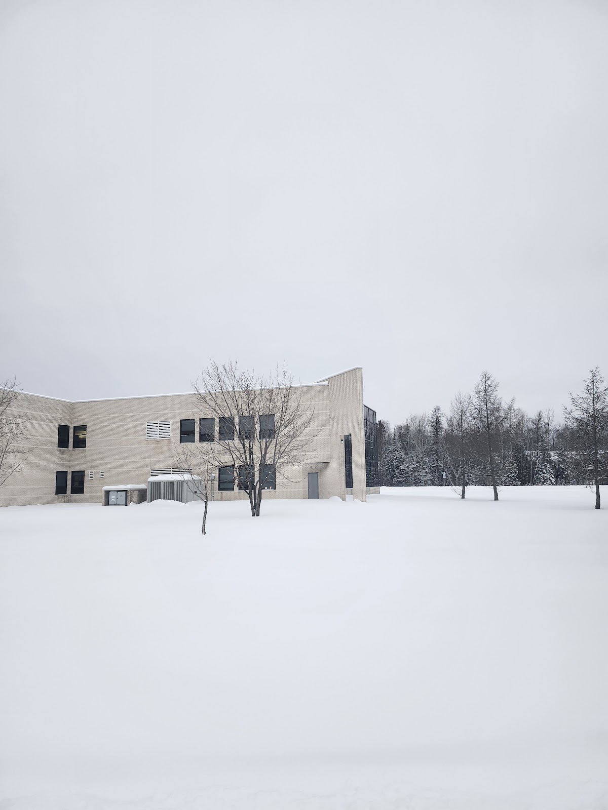 Northern Ontario School of Medicine photo 8