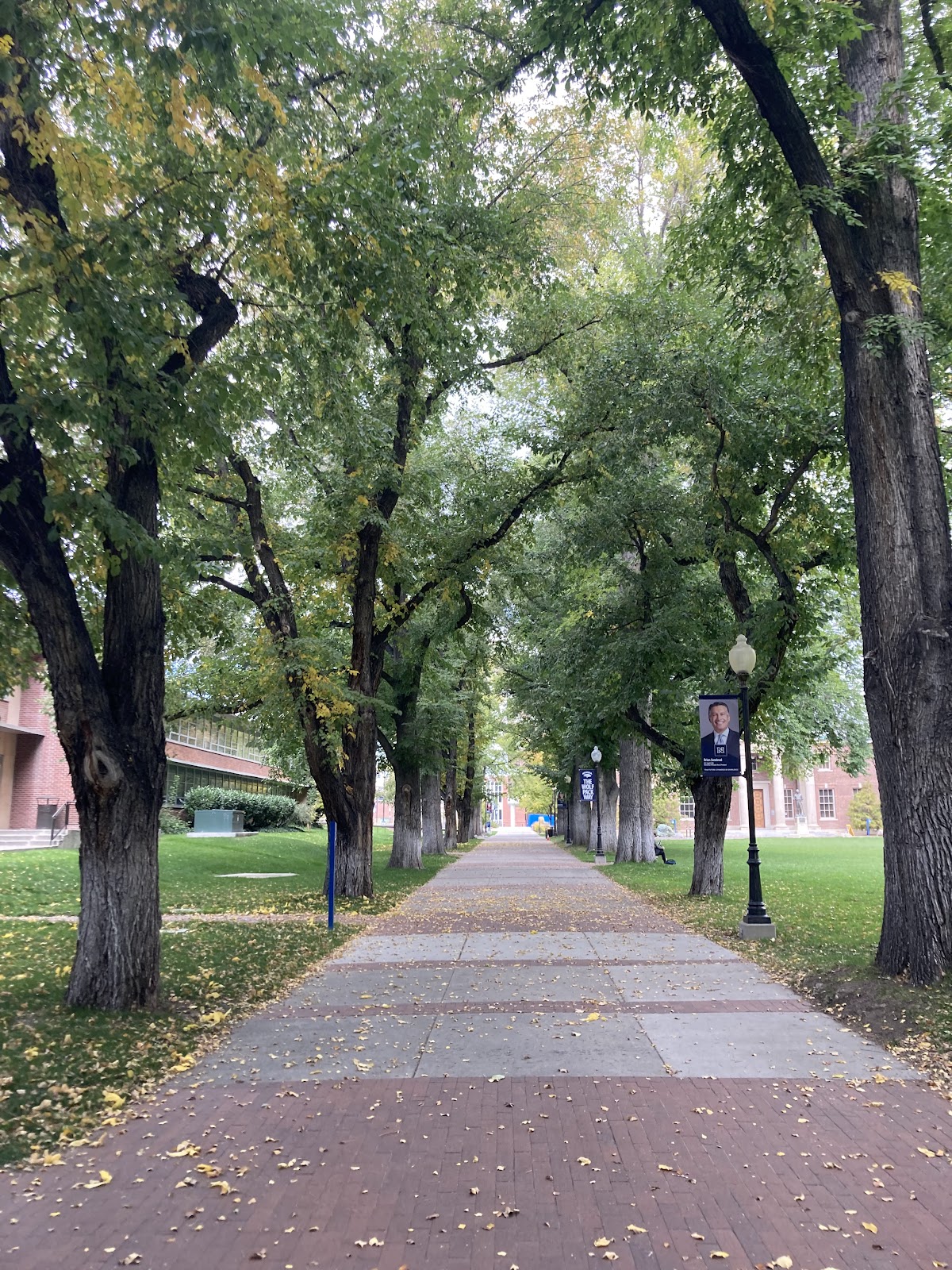 University of Nevada Reno photo 9
