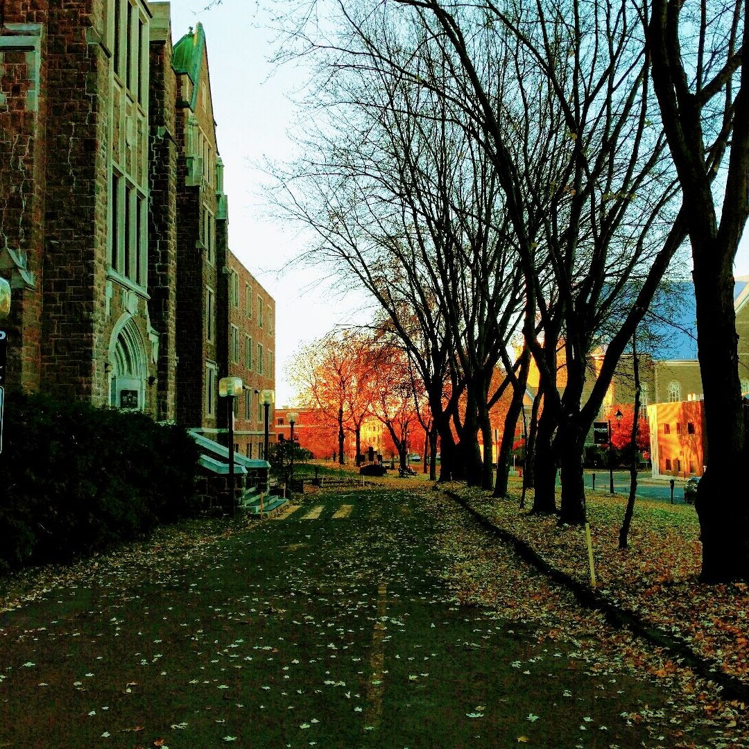 Collège St-Jérôme photo 8
