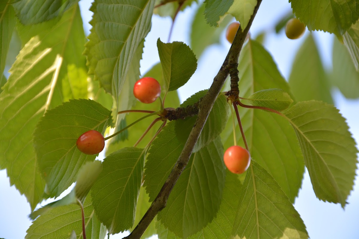 University of Rennes 1 photo 2