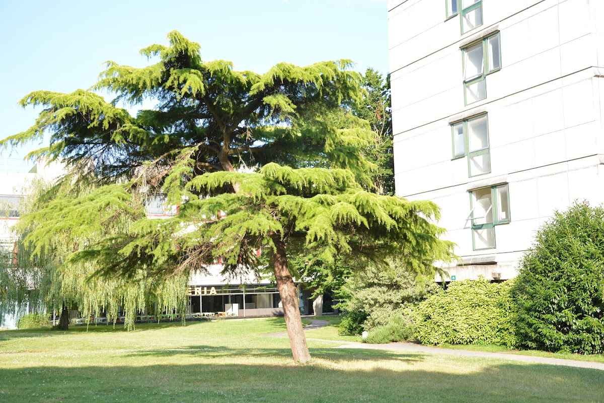 University of Rennes 1 photo 4