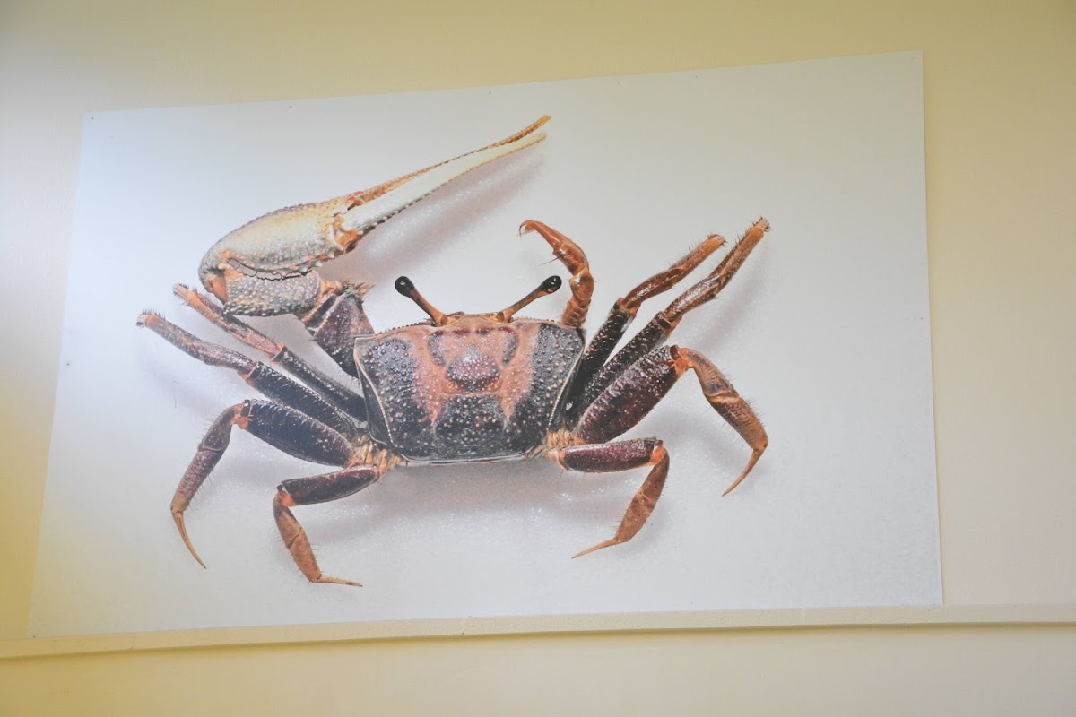 University of Rennes 1 photo 7