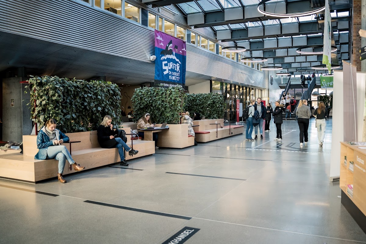 University of Agder photo 2