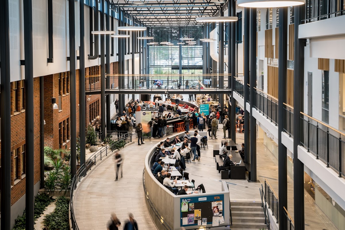 University of Agder photo 3