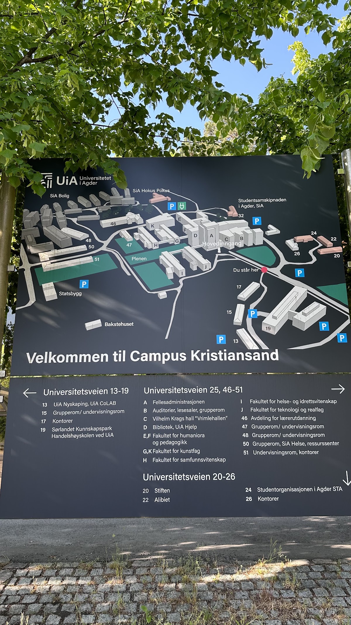 University of Agder photo 9