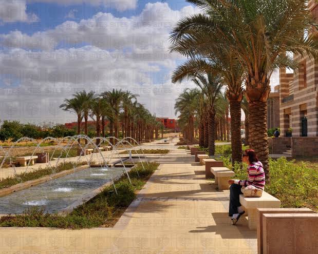 The American University in Cairo photo 8