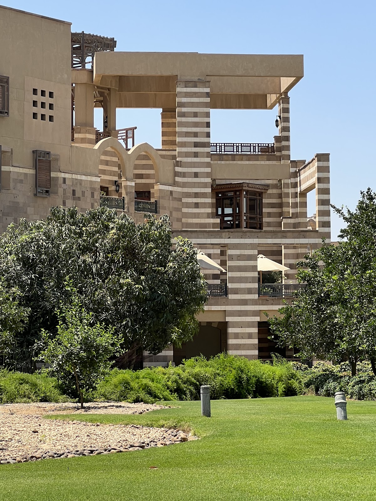 The American University in Cairo photo 9