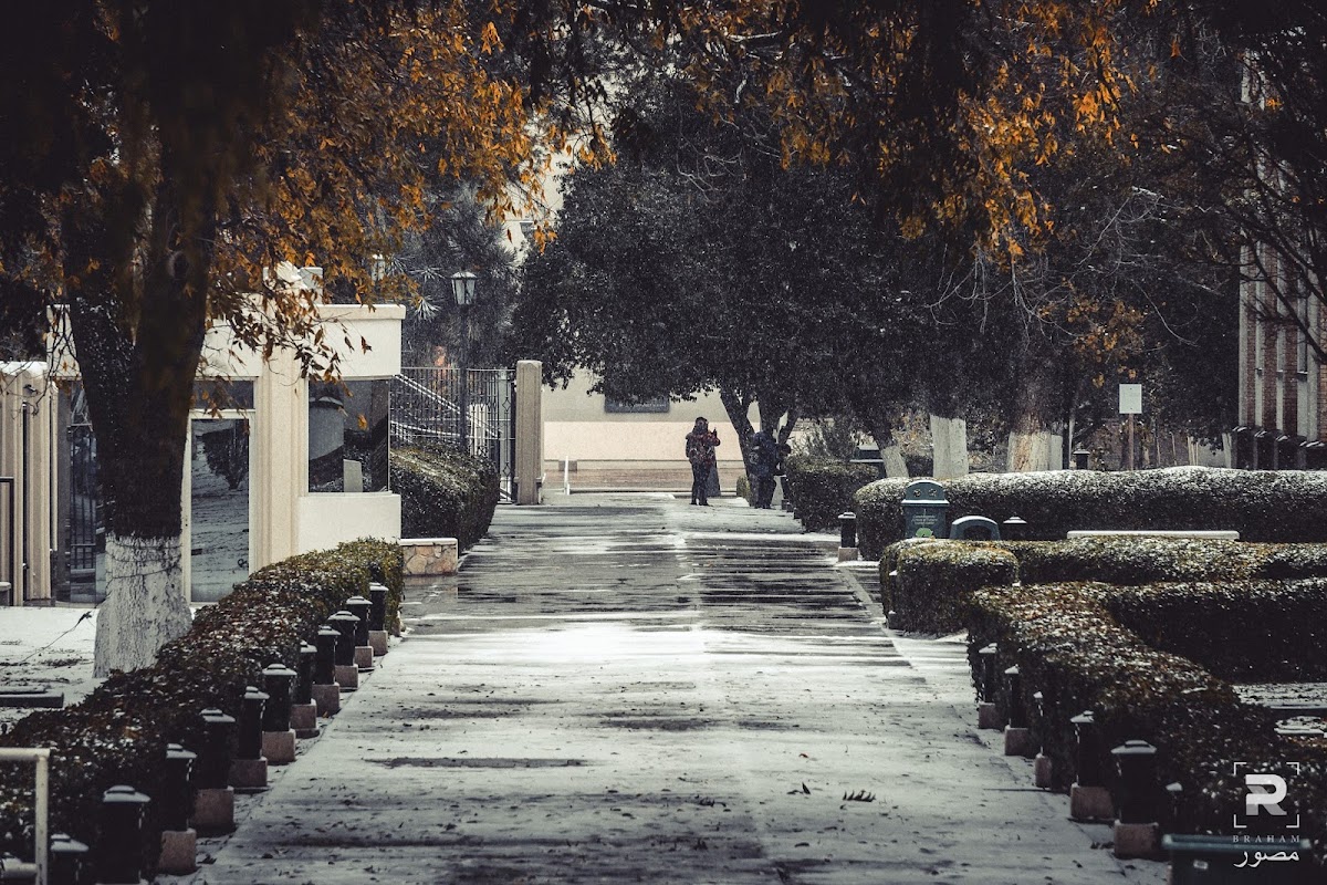 Autonomous University of Coahuila photo 2
